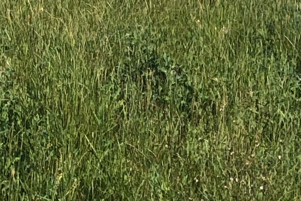 Photo of Outdoor in Vernon