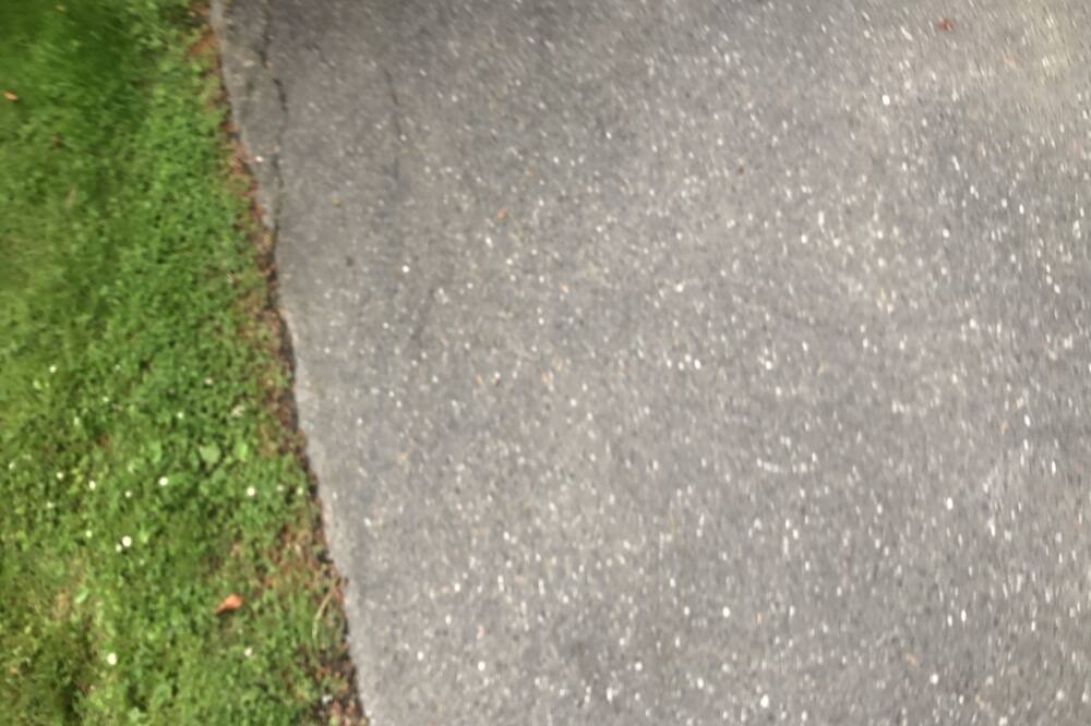 Photo of Others in Sechelt