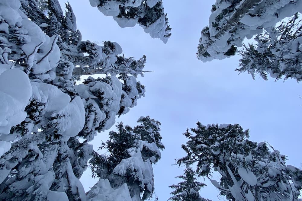 Photo of Outdoor in Comox