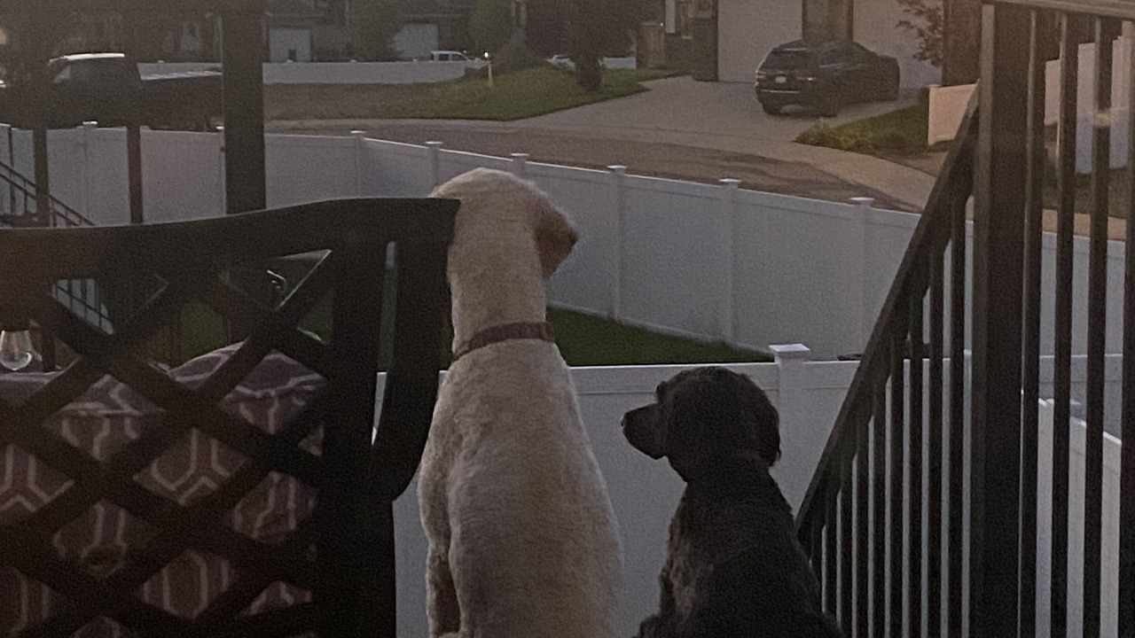 Photo of Outdoor in Sylvan Lake
