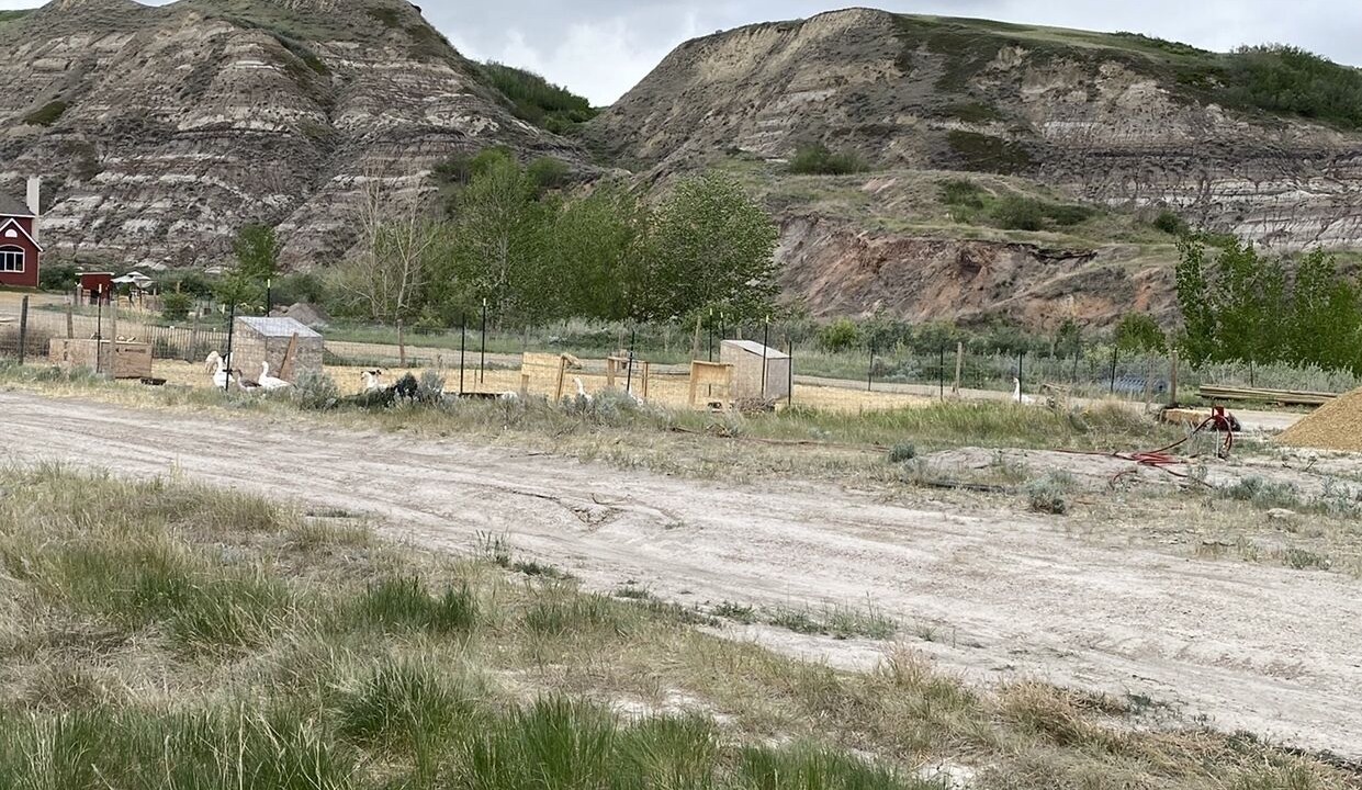 Photo of Outdoor in Drumheller