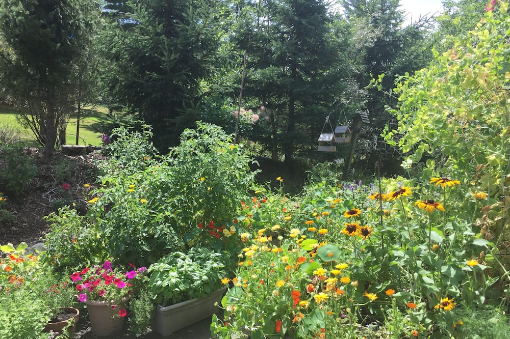 Photo of Outdoor in North Hatley