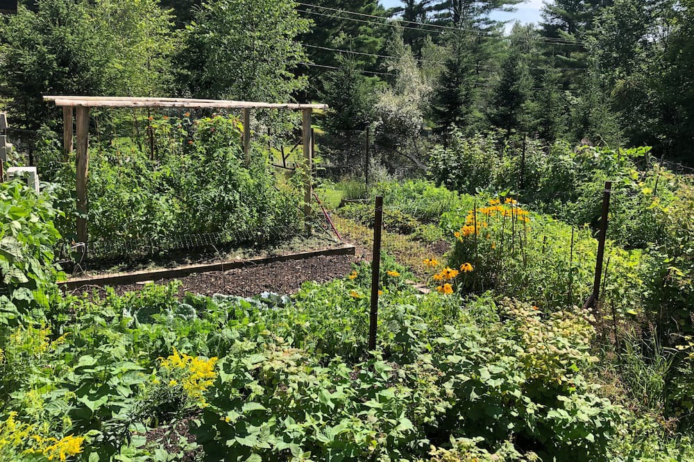 Photo of Outdoor in North Hatley