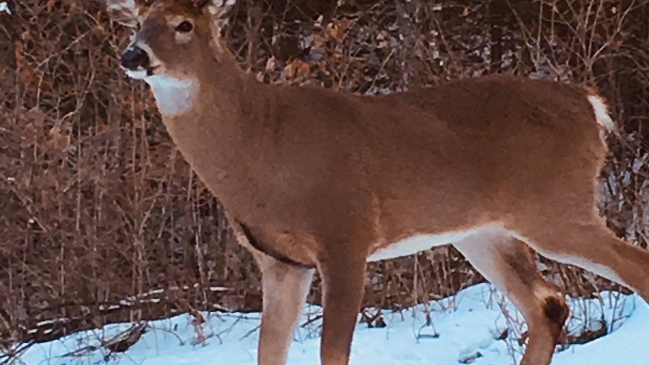 Photo of Outdoor in Wakefield