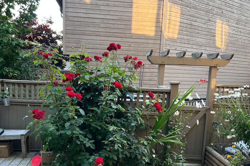 Photo of Outdoor in Central Lonsdale