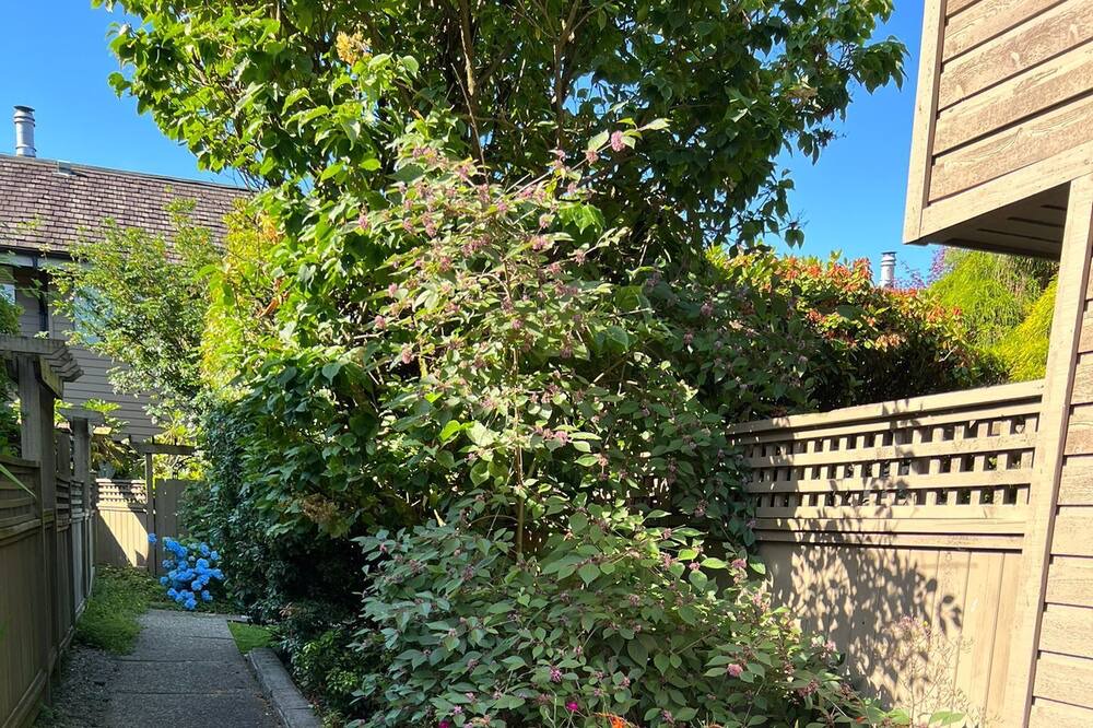 Photo of Outdoor in Central Lonsdale