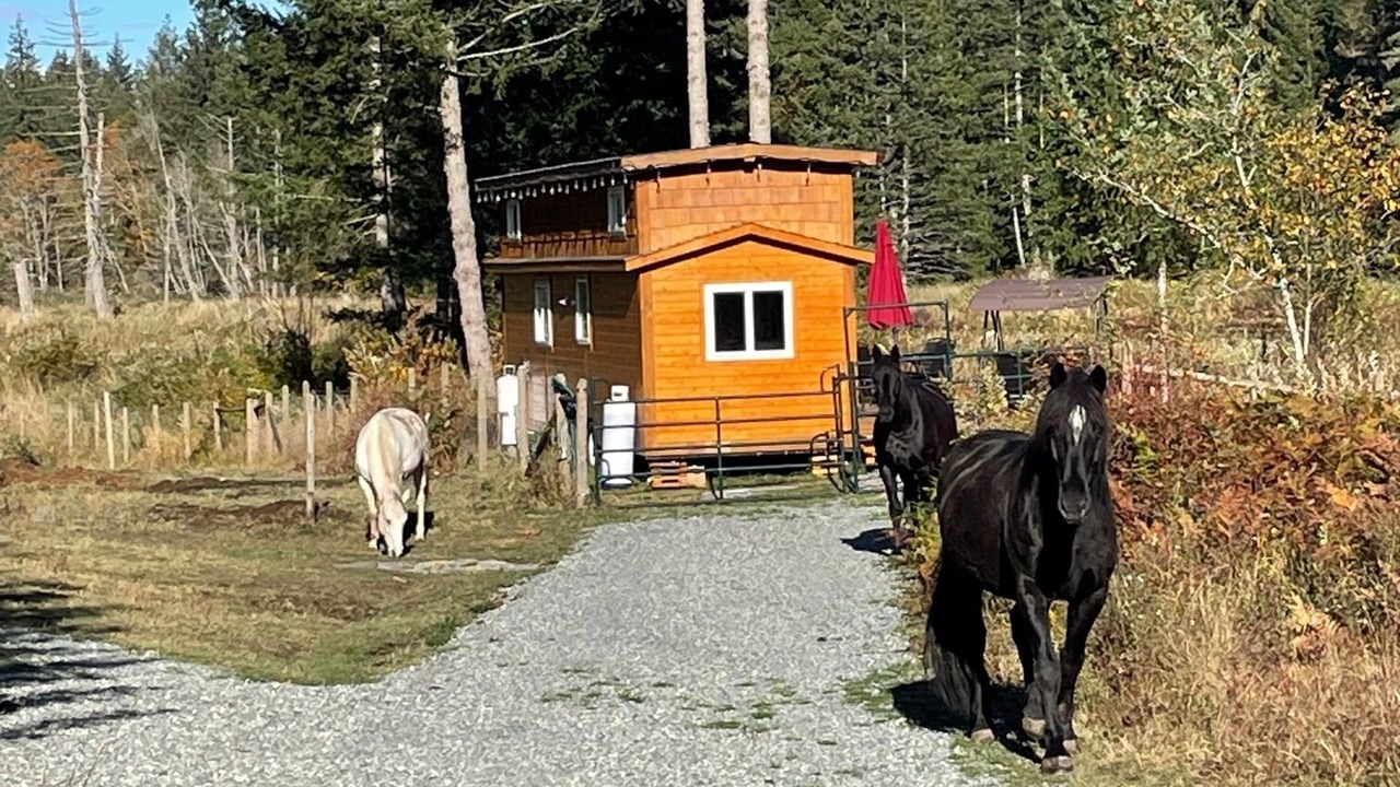 Photo of Outdoor in Yellow Point