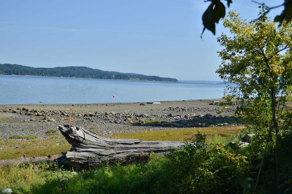 Photo of Others in Union Bay