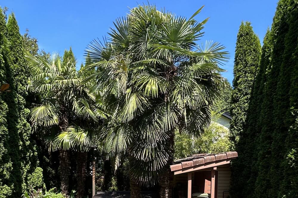 Photo of Outdoor in Riley Park