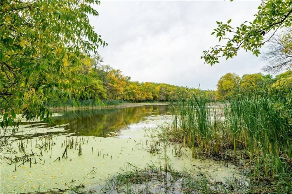 Photo of Outdoor in Selkirk