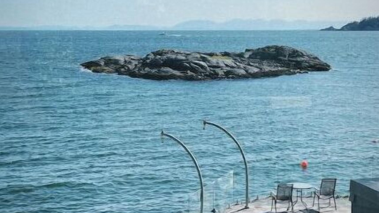 Photo of Others in West Vancouver