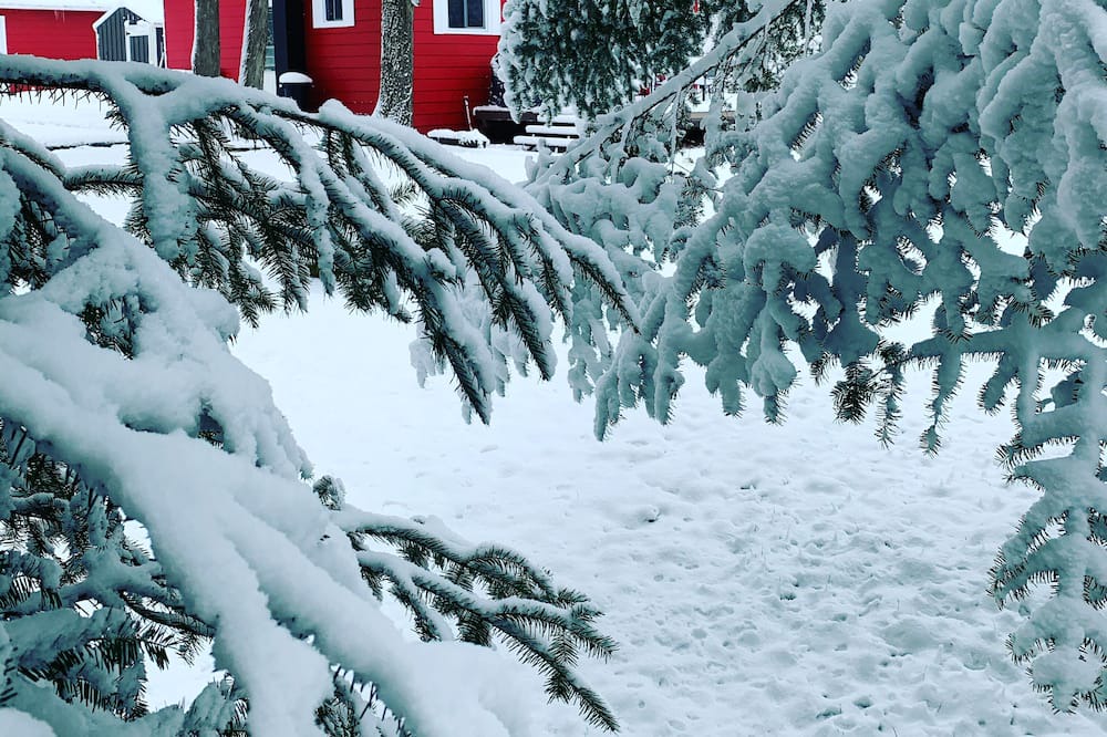 Photo of Outdoor in West Grey
