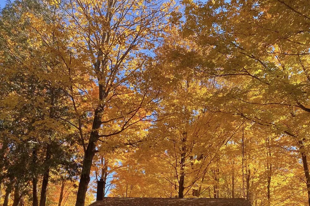 Photo of Outdoor in West Grey
