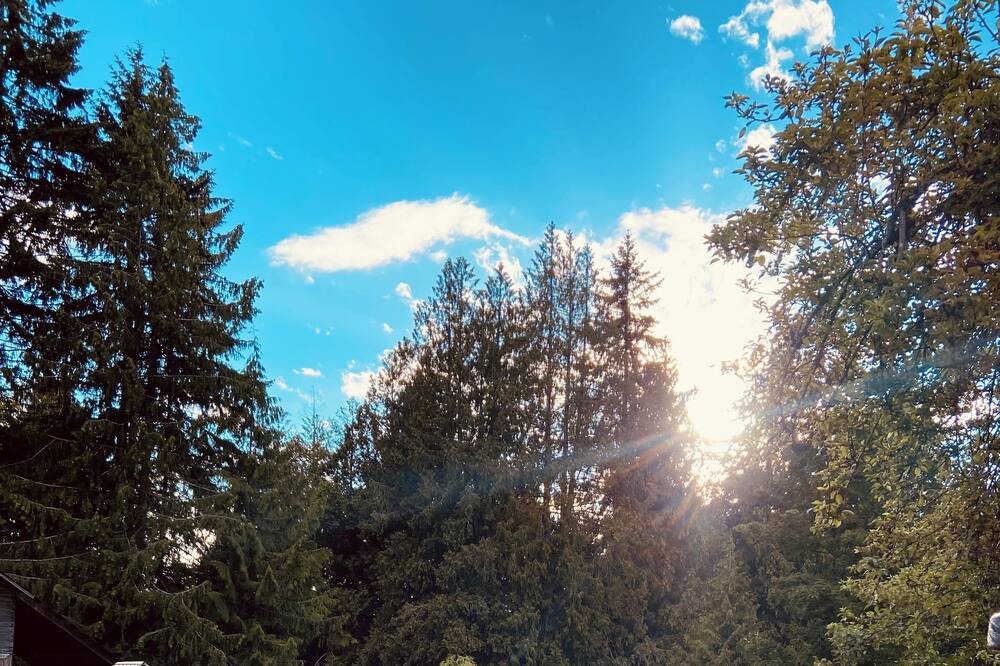 Photo of Outdoor in Courtenay