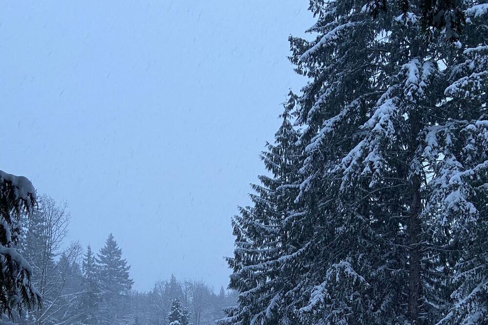 Photo of Outdoor in Courtenay