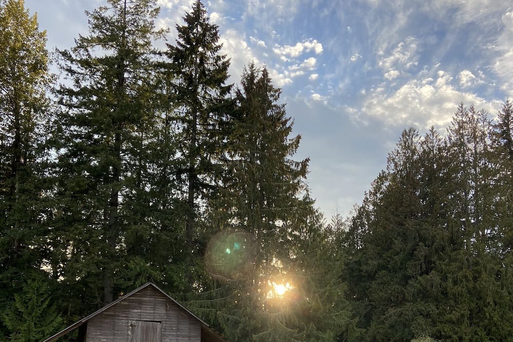 Photo of Outdoor in Courtenay
