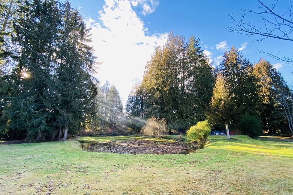 Photo of Outdoor in Courtenay