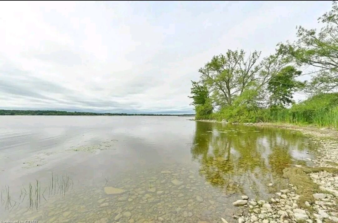 Photo of Outdoor in Trenton