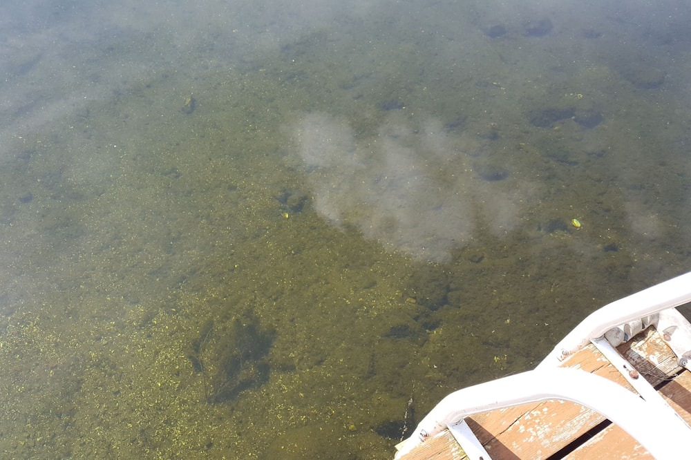 Photo of Others in Rideau Lakes