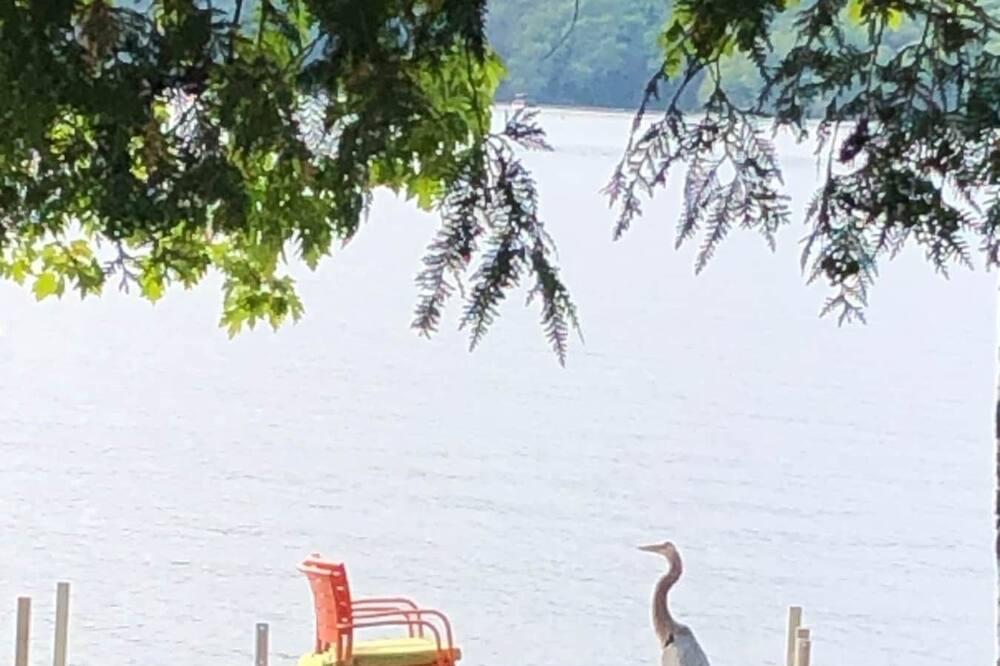Photo of Outdoor in Rideau Lakes