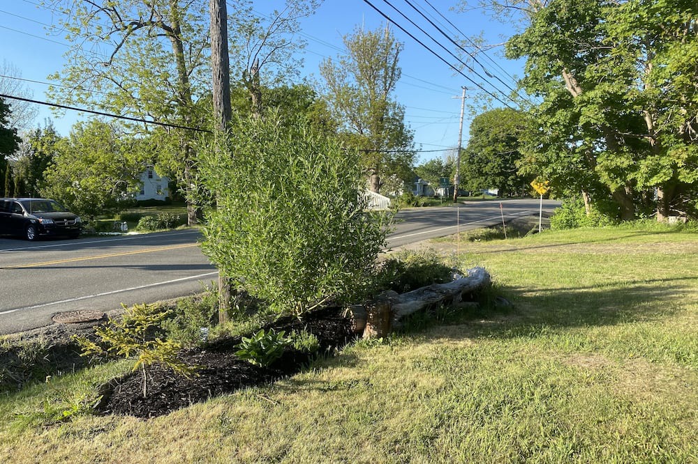 Photo of Outdoor in Cornwallis