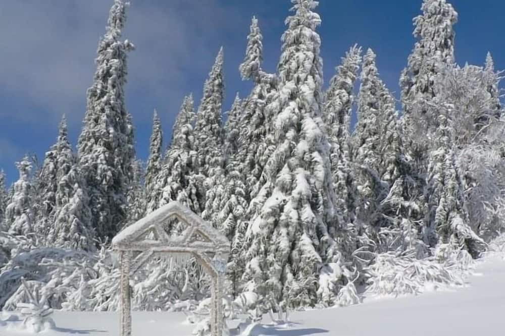 Photo of Outdoor in Saint-Paul-de-Montminy