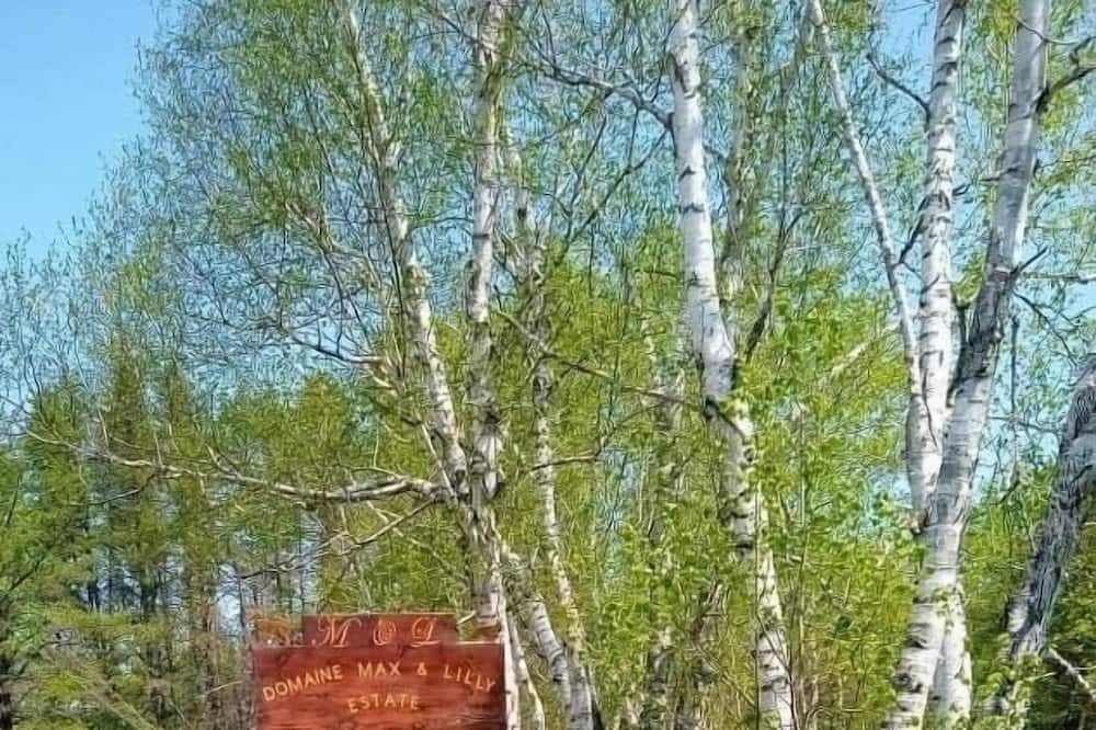Photo of Outdoor in Gracefield