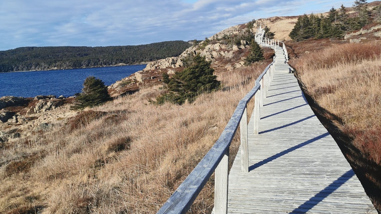 Photo of Outdoor in New Perlican