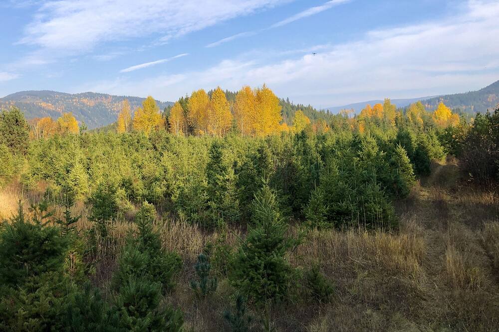 Photo of Outdoor in Barriere