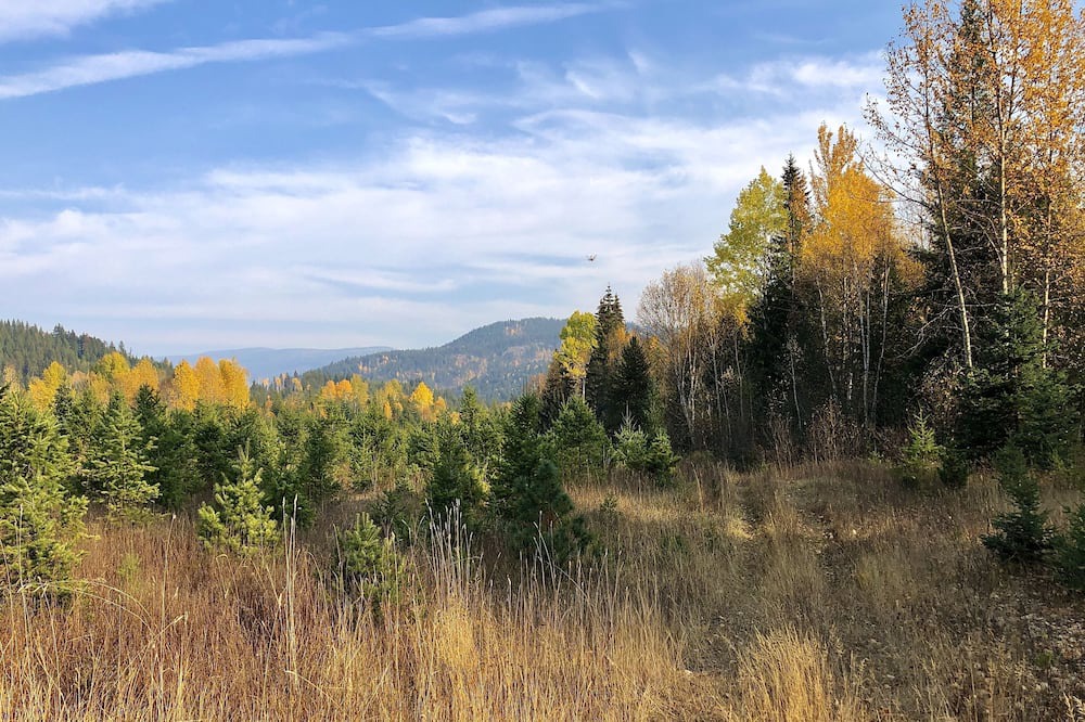 Photo of Outdoor in Barriere