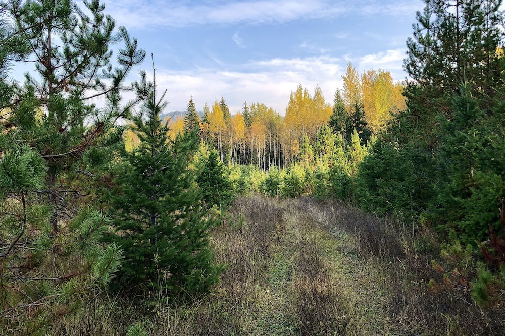 Photo of Outdoor in Barriere