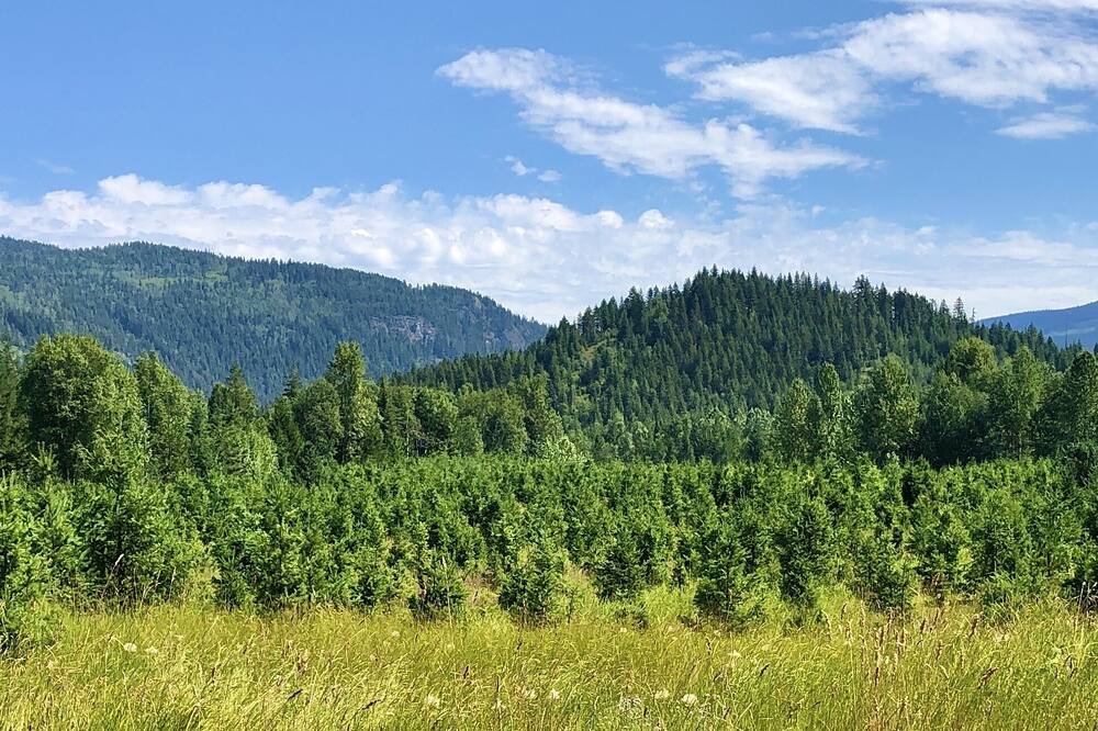 Photo of Others in Barriere
