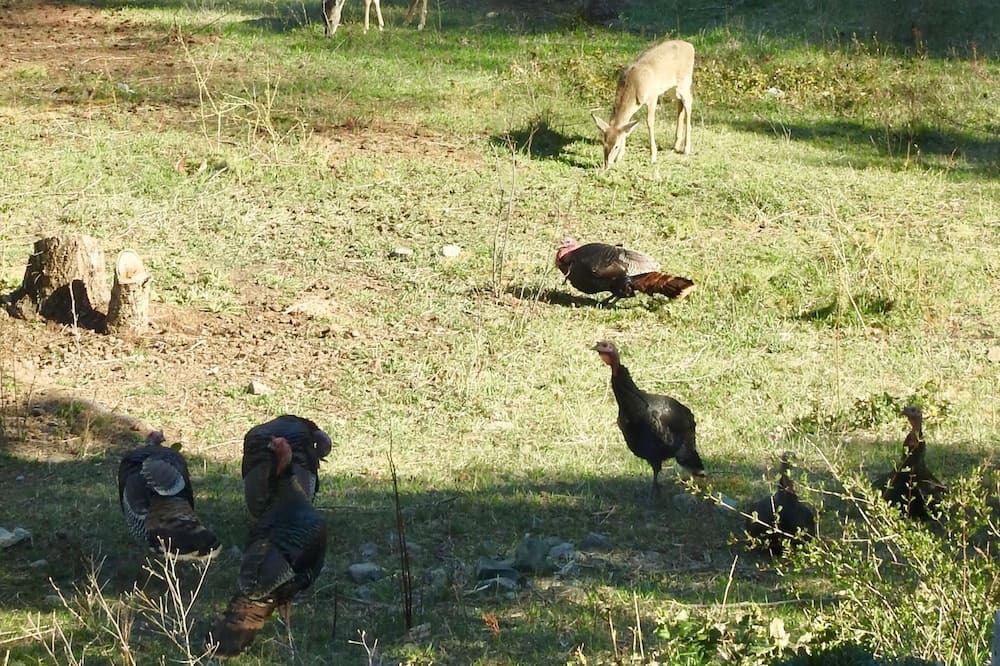 Photo of Others in Creston