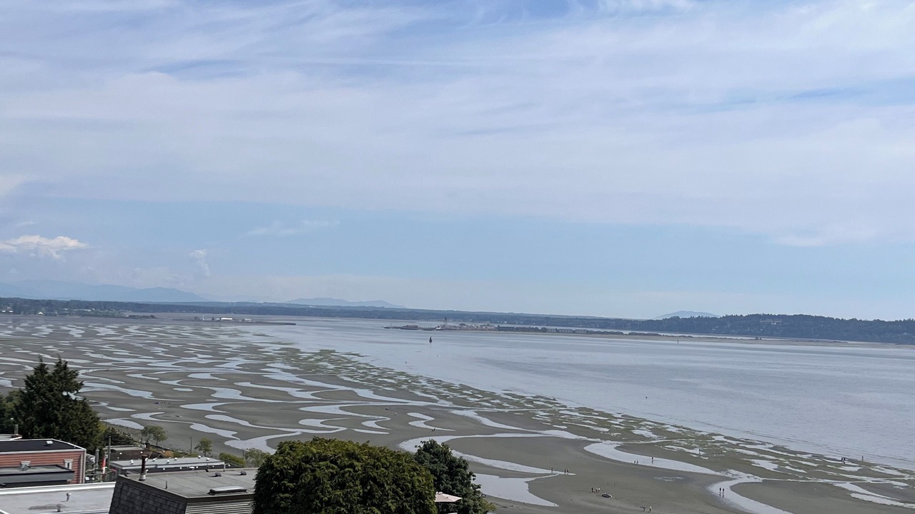 Photo of Outdoor in White Rock