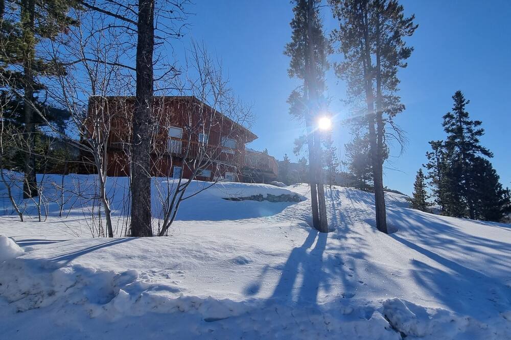 Photo of Others in Atlin