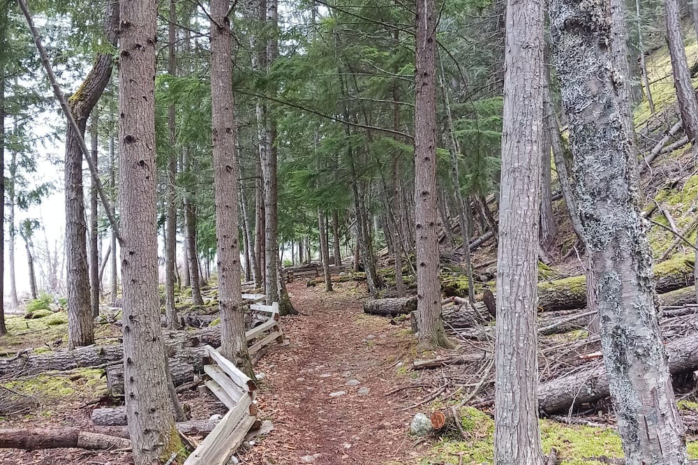 Photo of Outdoor in Balfour