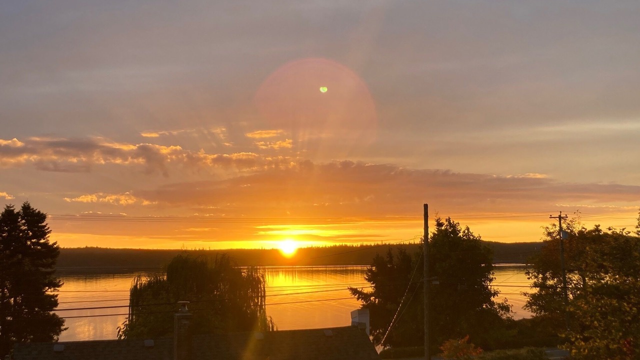 Photo of Outdoor in Union Bay