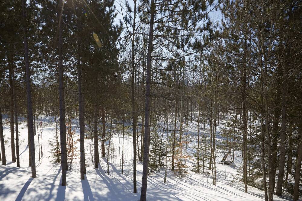 Photo of Others in Oro-Medonte