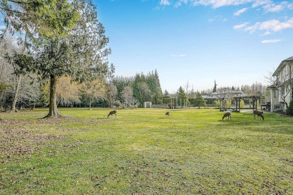 Photo of Outdoor in Maple Ridge