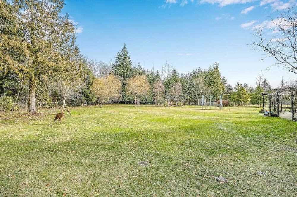 Photo of Outdoor in Maple Ridge