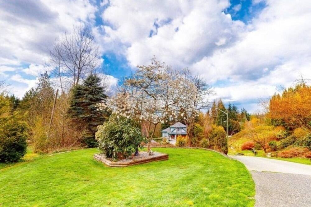 Photo of Outdoor in Maple Ridge
