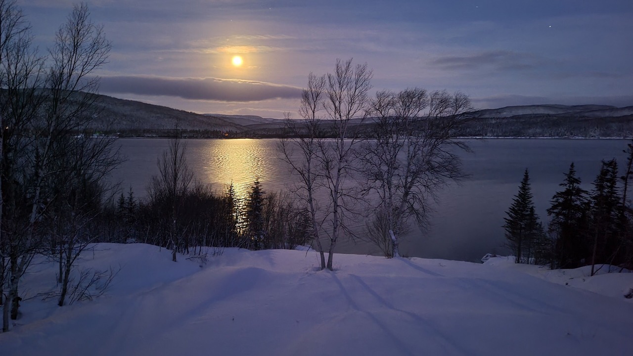 Photo of Others in Corner Brook