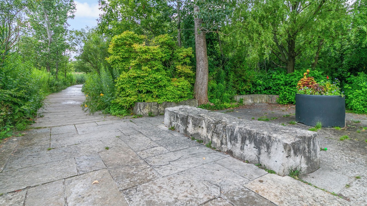 Photo of Outdoor in Leslieville