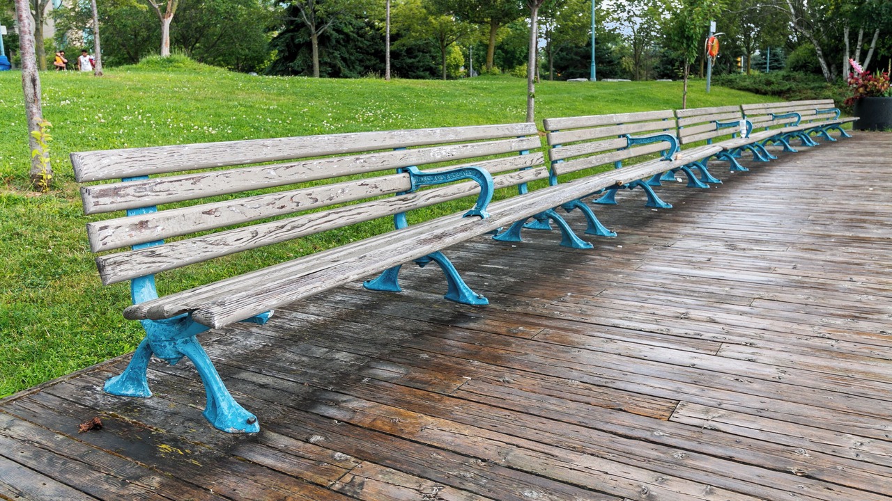 Photo of Outdoor in Leslieville