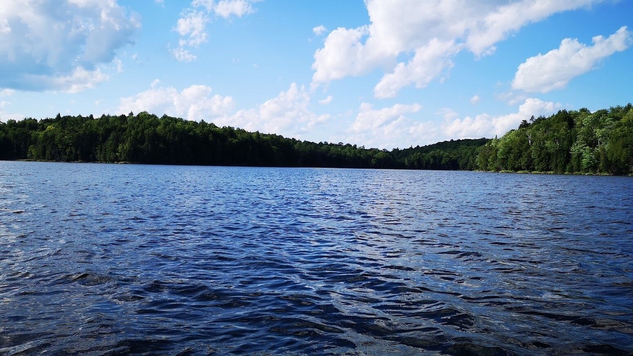 Photo of Others in Amherst