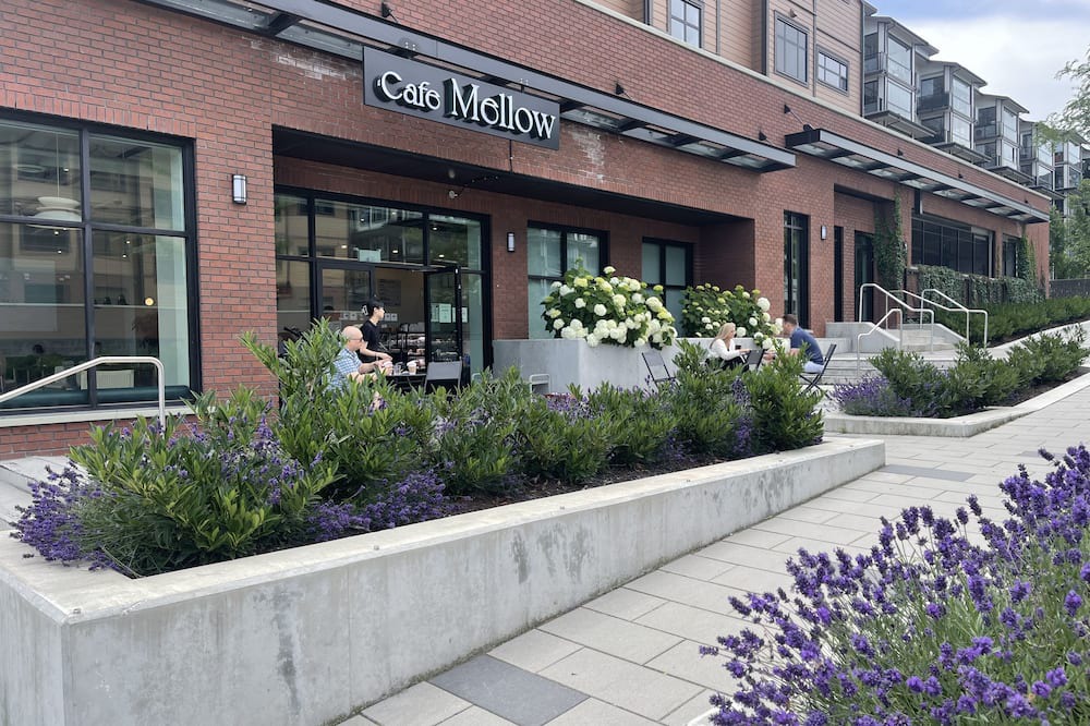 Photo of Outdoor in Willoughby