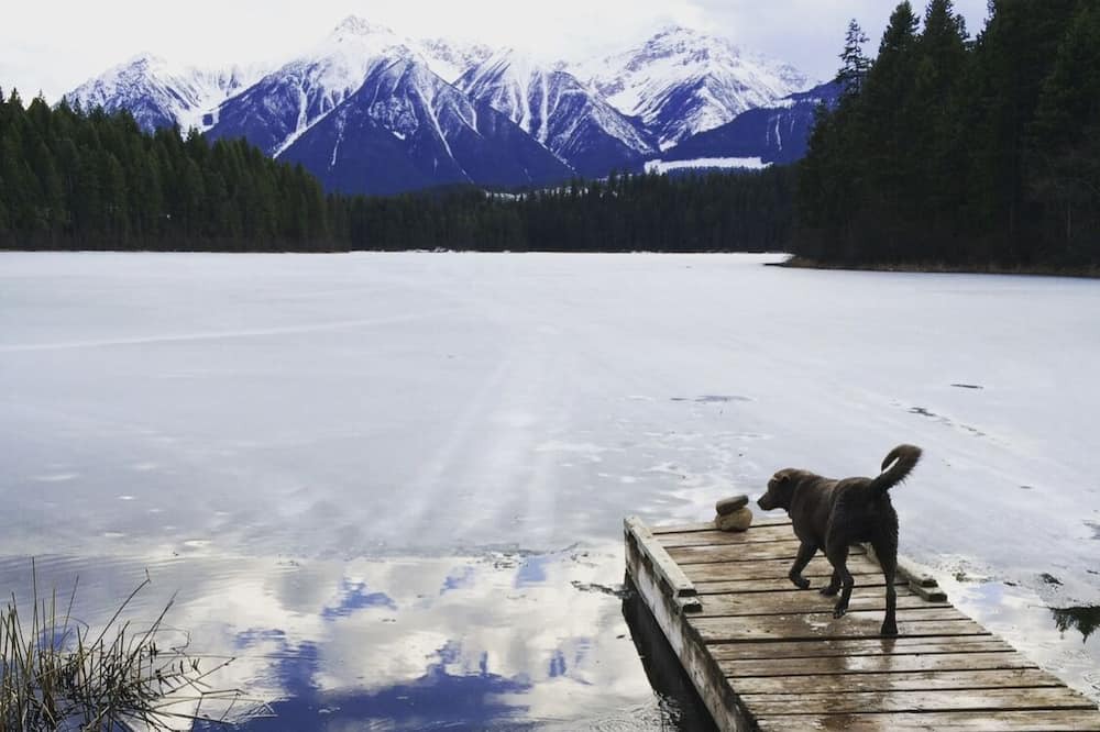 Photo of Others in East Kootenay