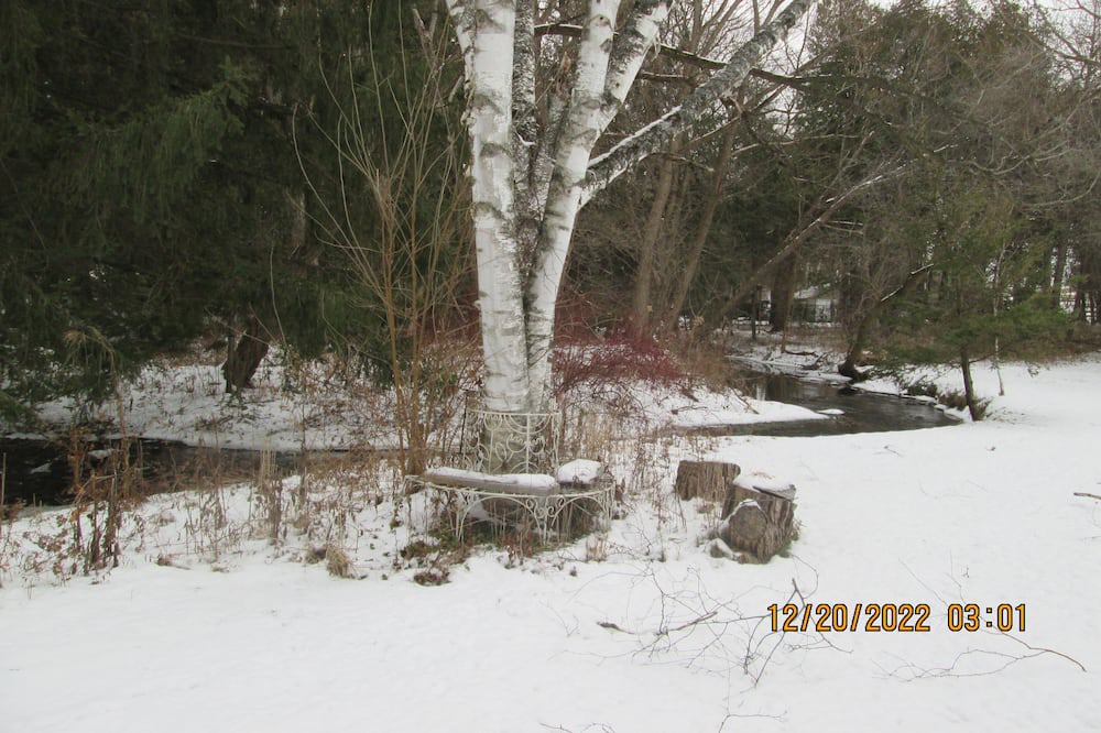 Photo of Others in Markham