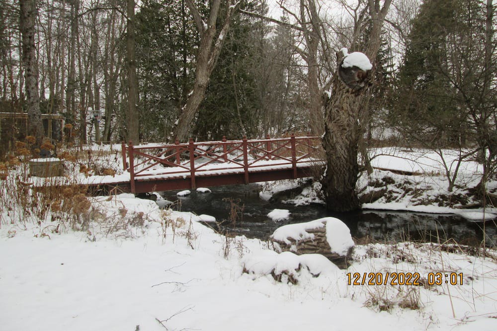 Photo of Others in Markham