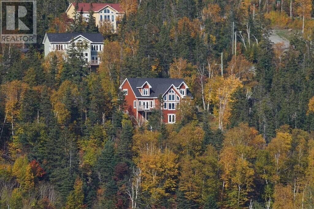 Photo of Outdoor in Humber Valley